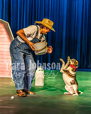 2026 Mutts in Motion - Rehearsal 3 - TJP (12 of 13)