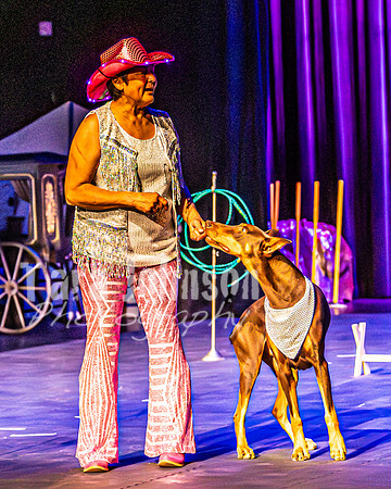 2026 Mutts in Motion - Rehearsal 4 - TJP (2 of 35)