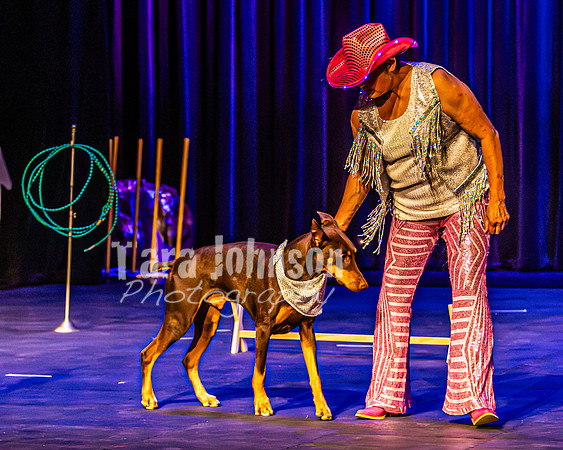2026 Mutts in Motion - Rehearsal 4 - TJP (4 of 35)