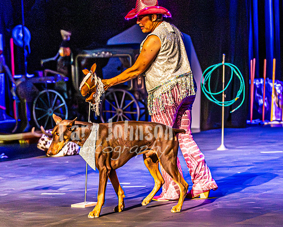 2026 Mutts in Motion - Rehearsal 4 - TJP (3 of 35)