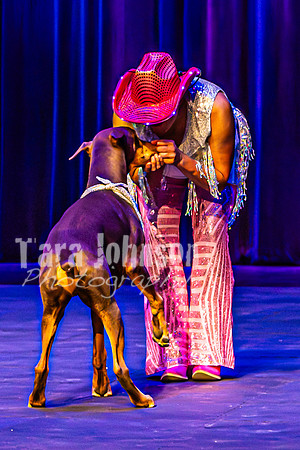 2026 Mutts in Motion - Rehearsal 4 - TJP (8 of 35)
