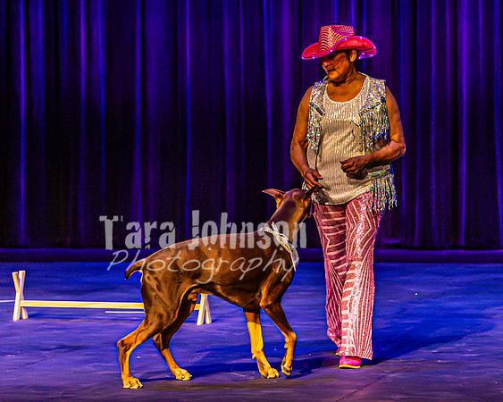 2026 Mutts in Motion - Rehearsal 4 - TJP (7 of 35)