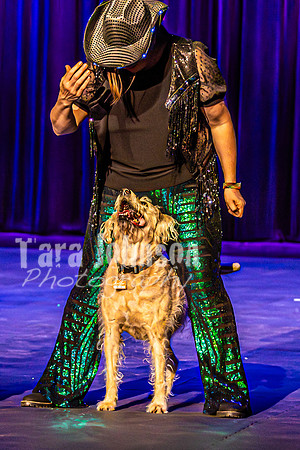 2026 Mutts in Motion - Rehearsal 4 - TJP (15 of 35)