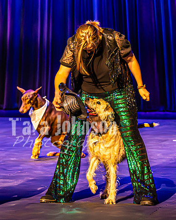 2026 Mutts in Motion - Rehearsal 4 - TJP (14 of 35)