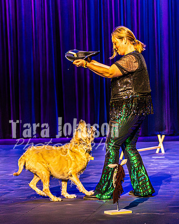 2026 Mutts in Motion - Rehearsal 4 - TJP (16 of 35)