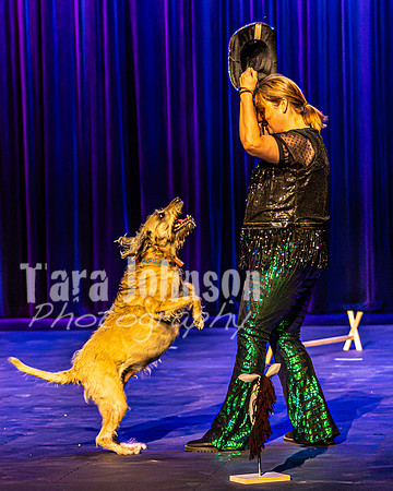 2026 Mutts in Motion - Rehearsal 4 - TJP (17 of 35)