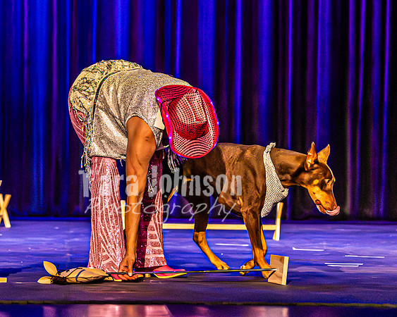 2026 Mutts in Motion - Rehearsal 4 - TJP (19 of 35)