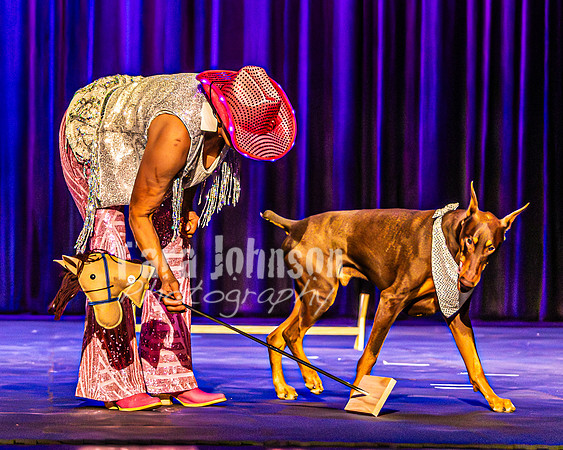 2026 Mutts in Motion - Rehearsal 4 - TJP (20 of 35)