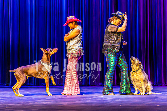 2026 Mutts in Motion - Rehearsal 4 - TJP (21 of 35)