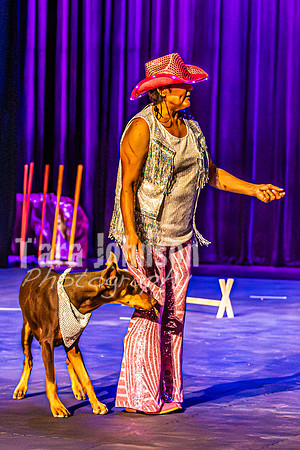 2026 Mutts in Motion - Rehearsal 4 - TJP (23 of 35)