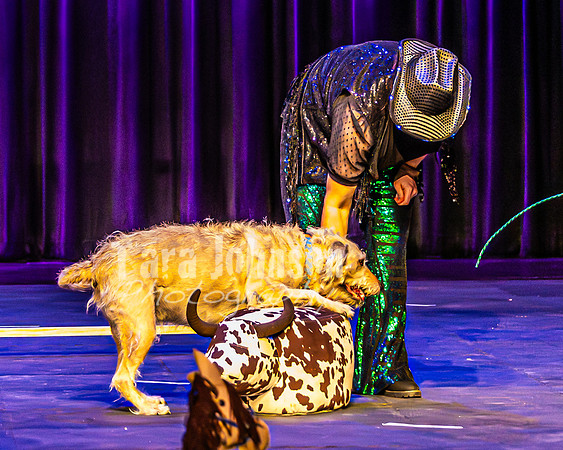 2026 Mutts in Motion - Rehearsal 4 - TJP (31 of 35)