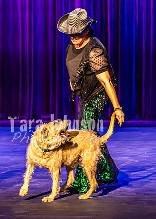2026 Mutts in Motion - Rehearsal 4 - TJP (28 of 35)
