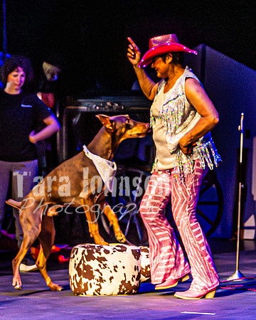 2026 Mutts in Motion - Rehearsal 4 - TJP (32 of 35)