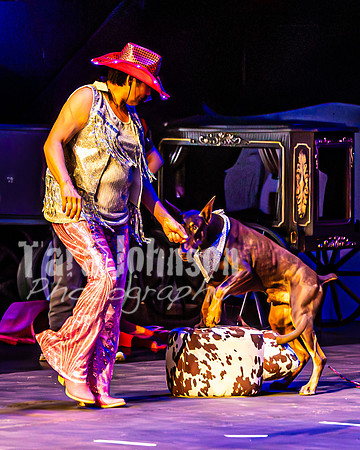 2026 Mutts in Motion - Rehearsal 4 - TJP (33 of 35)