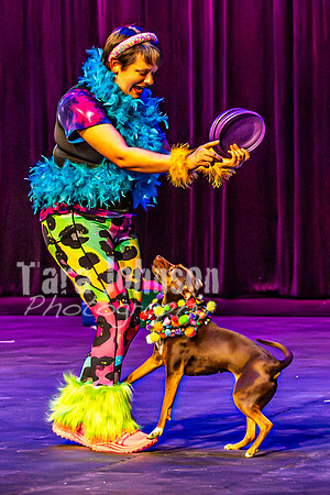 2026 Mutts in Motion - Rehearsal 5 - TJP (2 of 53)