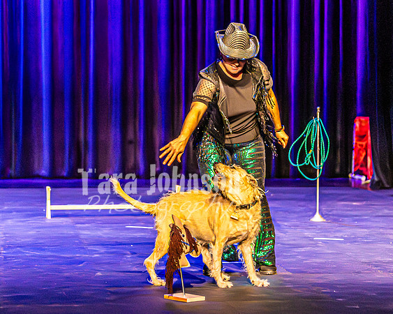 2026 Mutts in Motion - Rehearsal 4 - TJP (27 of 35)