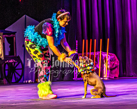 2026 Mutts in Motion - Rehearsal 5 - TJP (1 of 53)