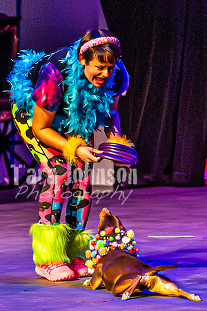 2026 Mutts in Motion - Rehearsal 5 - TJP (4 of 53)