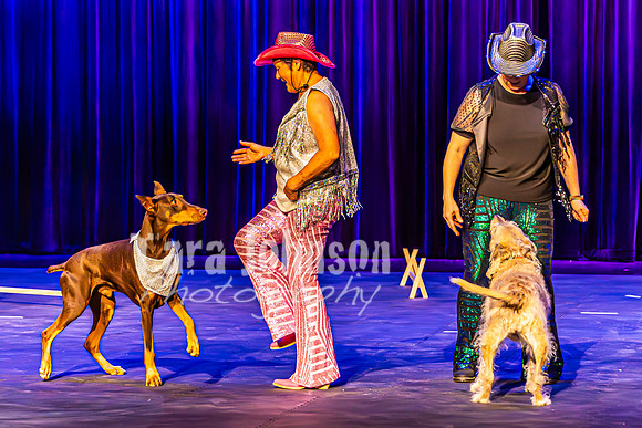 2026 Mutts in Motion - Rehearsal 4 - TJP (34 of 35)