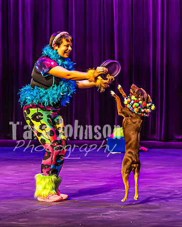 2026 Mutts in Motion - Rehearsal 5 - TJP (3 of 53)