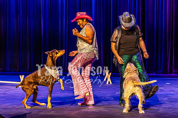2026 Mutts in Motion - Rehearsal 4 - TJP (35 of 35)