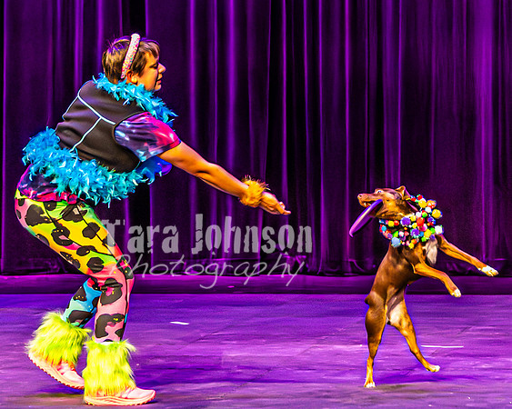 2026 Mutts in Motion - Rehearsal 5 - TJP (6 of 53)
