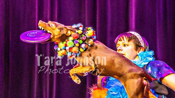 2026 Mutts in Motion - Rehearsal 5 - TJP (12 of 53)