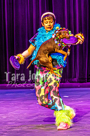 2026 Mutts in Motion - Rehearsal 5 - TJP (10 of 53)