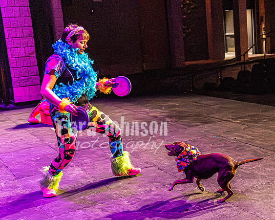 2026 Mutts in Motion - Rehearsal 5 - TJP (7 of 53)