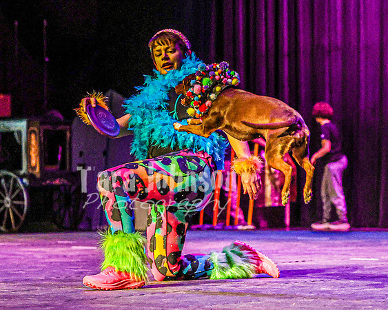 2026 Mutts in Motion - Rehearsal 5 - TJP (14 of 53)