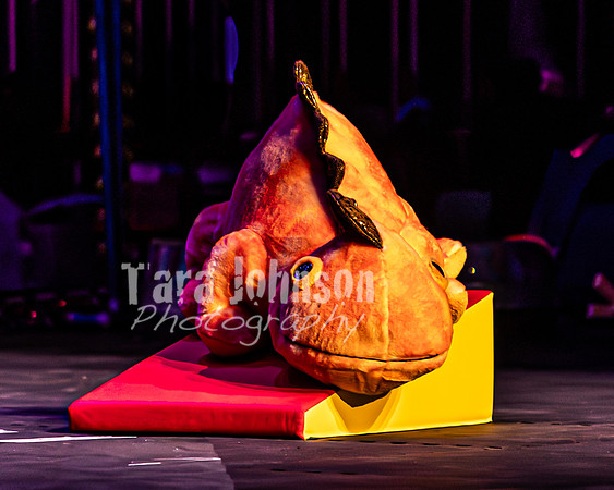 2026 Mutts in Motion - Rehearsal 5 - TJP (20 of 53)