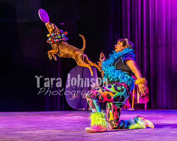 2026 Mutts in Motion - Rehearsal 5 - TJP (15 of 53)