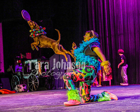 2026 Mutts in Motion - Rehearsal 5 - TJP (16 of 53)