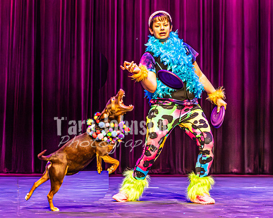2026 Mutts in Motion - Rehearsal 5 - TJP (22 of 53)