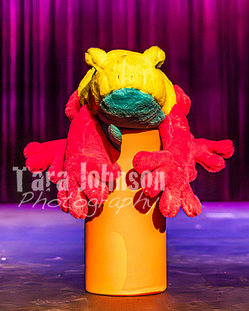2026 Mutts in Motion - Rehearsal 5 - TJP (21 of 53)