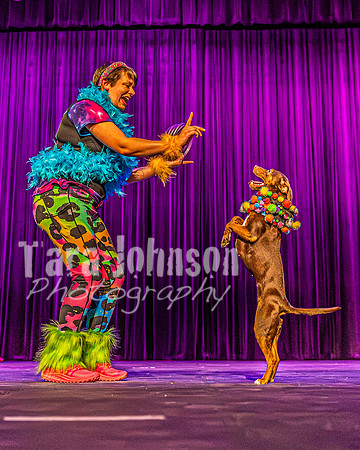 2026 Mutts in Motion - Rehearsal 5 - TJP (24 of 53)