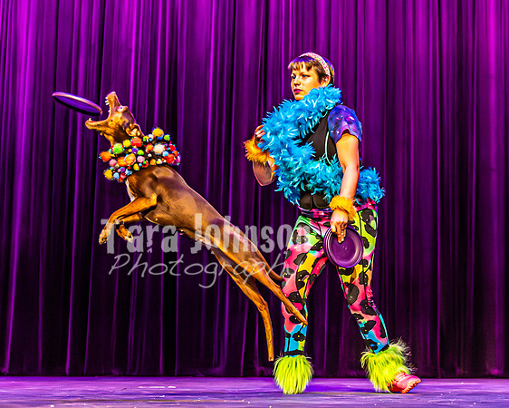 2026 Mutts in Motion - Rehearsal 5 - TJP (29 of 53)