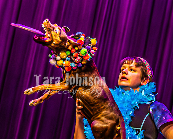 2026 Mutts in Motion - Rehearsal 5 - TJP (38 of 53)