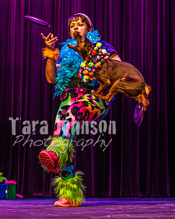 2026 Mutts in Motion - Rehearsal 5 - TJP (36 of 53)