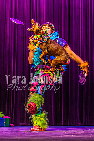 2026 Mutts in Motion - Rehearsal 5 - TJP (37 of 53)