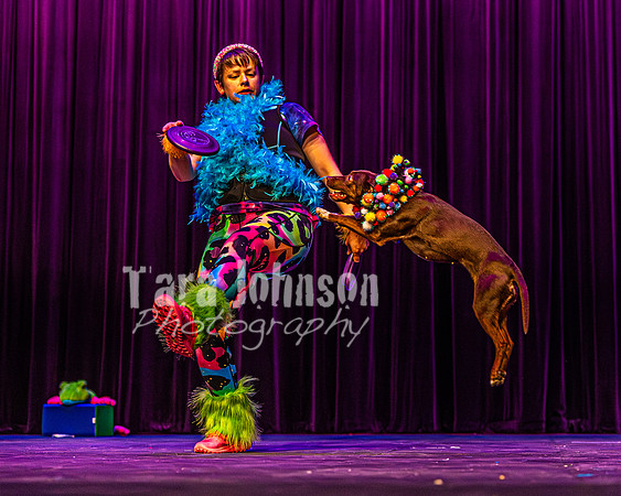 2026 Mutts in Motion - Rehearsal 5 - TJP (35 of 53)