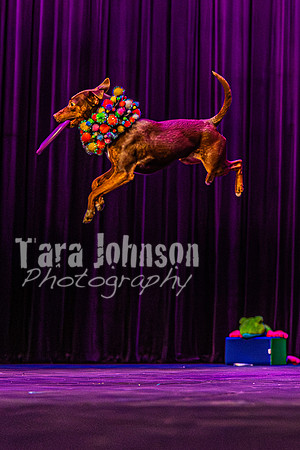 2026 Mutts in Motion - Rehearsal 5 - TJP (40 of 53)