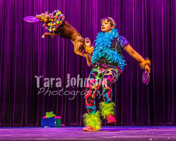 2026 Mutts in Motion - Rehearsal 5 - TJP (39 of 53)