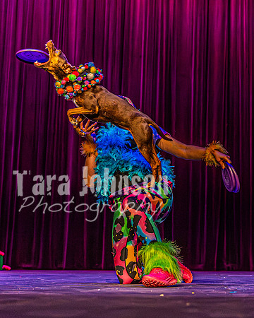 2026 Mutts in Motion - Rehearsal 5 - TJP (44 of 53)