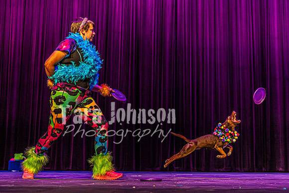 2026 Mutts in Motion - Rehearsal 5 - TJP (42 of 53)