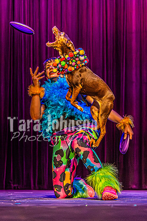 2026 Mutts in Motion - Rehearsal 5 - TJP (47 of 53)