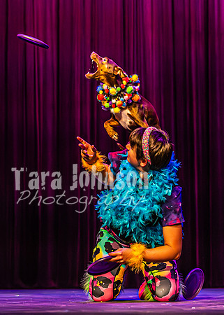 2026 Mutts in Motion - Rehearsal 5 - TJP (50 of 53)