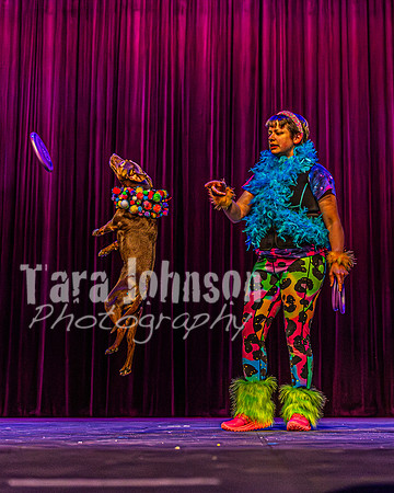 2026 Mutts in Motion - Rehearsal 5 - TJP (48 of 53)
