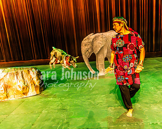 2026 Mutts in Motion - Rehearsal 6 - TJP (5 of 59)