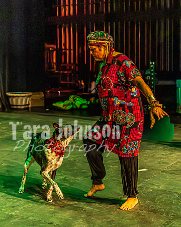 2026 Mutts in Motion - Rehearsal 6 - TJP (6 of 59)